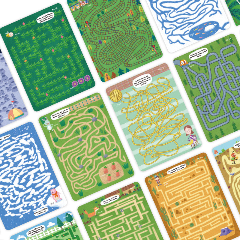 Wipe&Clean Learning Cards - Amazing Mazes